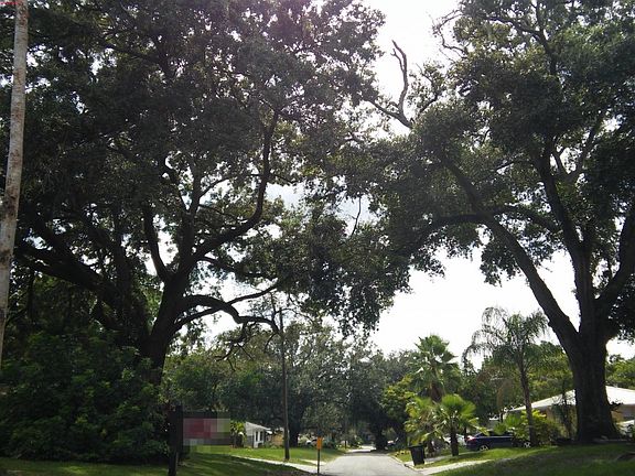 5th image of 522 Palencia Pl