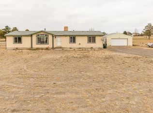 424 Flora Dr, Spring Creek, NV 89815