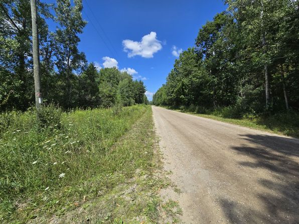 Leckrone Rd PARCEL C, Brethren, MI 49619