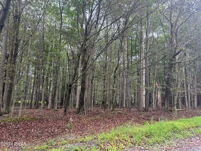 Oakwood Dr, Greentown, PA, 18426