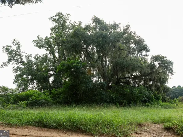 0 Twin Forks Rd Tract 1, Statesboro, GA 30458