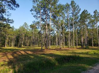 10630 Beckenger Ave, Hastings, FL 32145