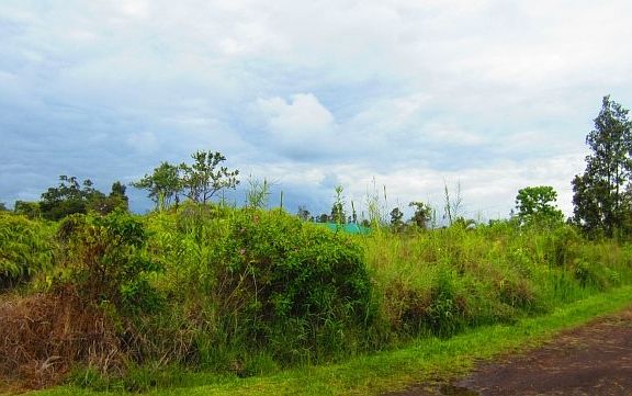 2nd image of Road 9 Koloa Maoli Lot 5319