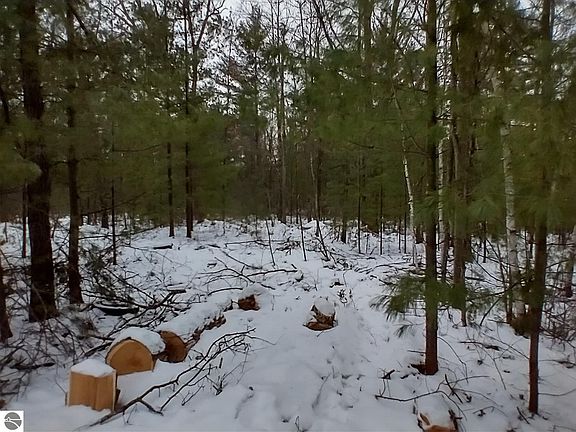 2nd image of X Acorn Ln