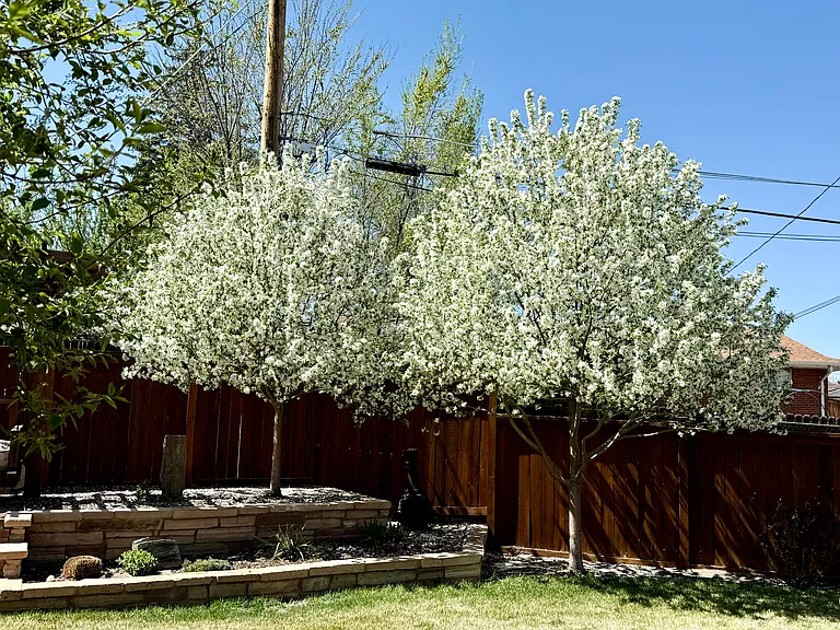 1851 Jolene Dr — Photo 18