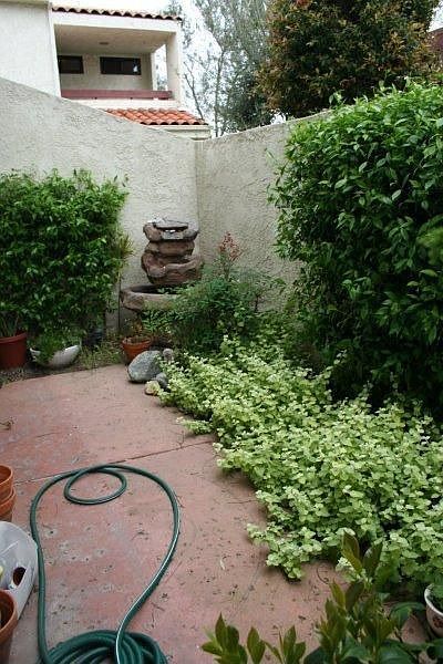 Front Patio