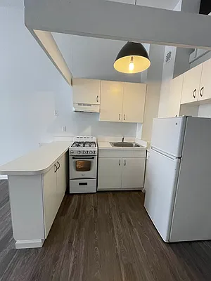 Rented by Voro NYC | media 25