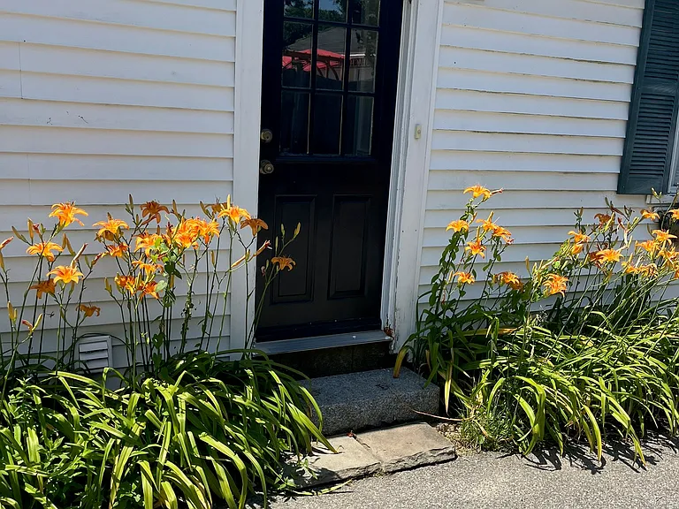 Forest St — Photo 14