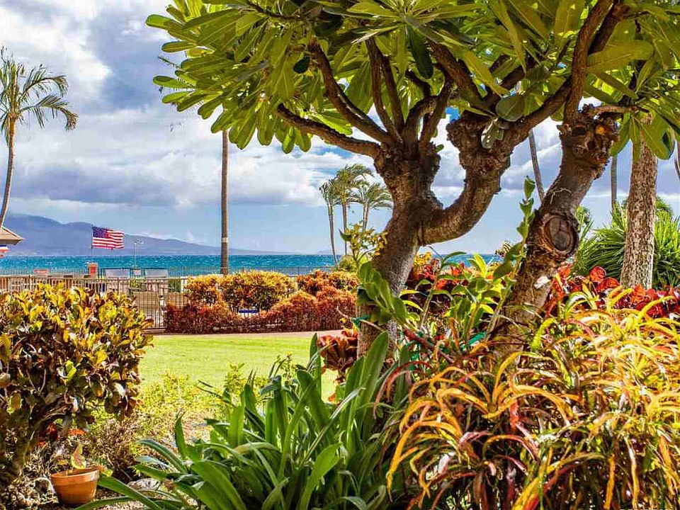 1st image of 150 Hauoli St APT 101