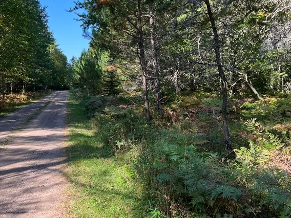 LOT 22 Timber Trail Ln, Land O Lakes, WI 54540