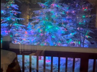 9 Alpine Ct, Frisco, CO 80443