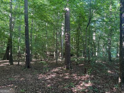 435 N 27th Hwy, Roopville, GA, 30170