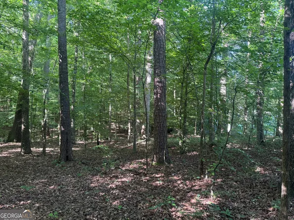 435 N 27th Hwy, Roopville, GA 30170