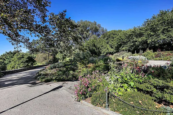 Sold by Corcoran | media 26