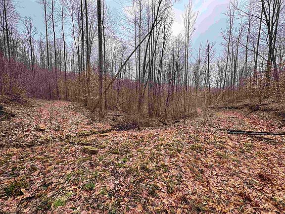 4th image of LOT 1 Red Rock Rd