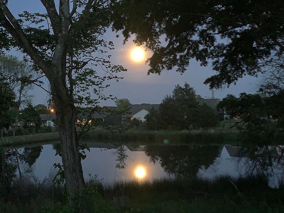 Backyard View
