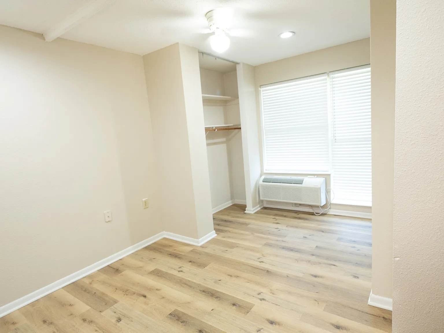 1 bed, 650 sqft, $800 — Photo 3