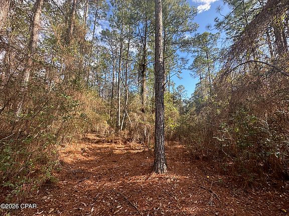 5th image of 5033 Douglas Ferry Rd