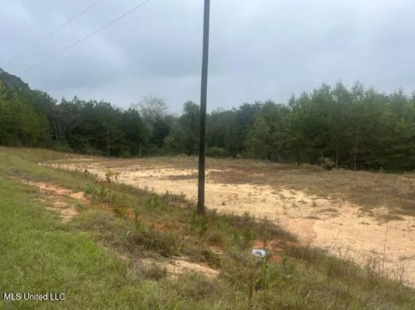 450 County Road 155, Stringer, MS 39481