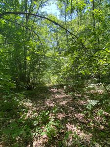 1589 S Eight Mile Rd, Breckenridge, MI, 48615
