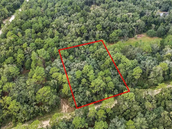 ELAINE DRIVE, WEBSTER, FL 33597