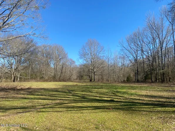 Willow Way, Flora, MS 39071