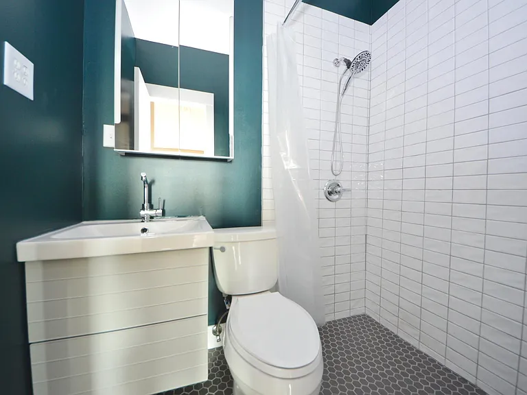 Curbless modern bathroom