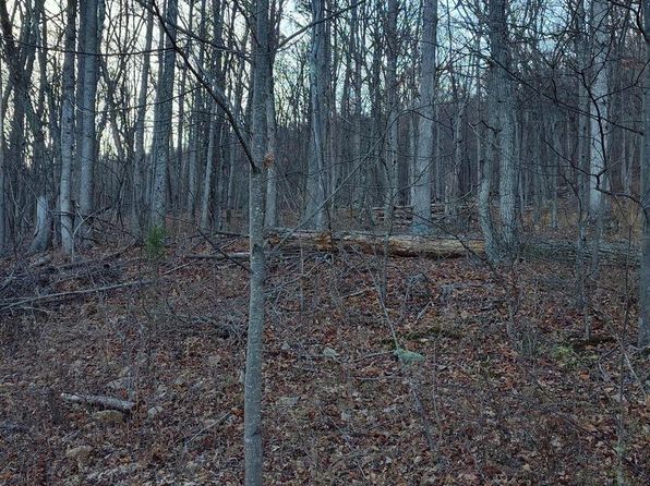 Dove Dr, Paw Paw, WV 25434