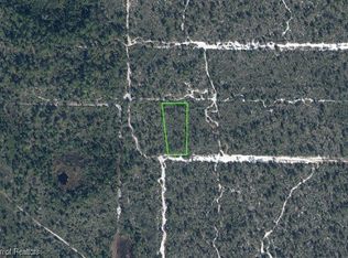 2238 Lantana Ave, Sebring, FL 33875