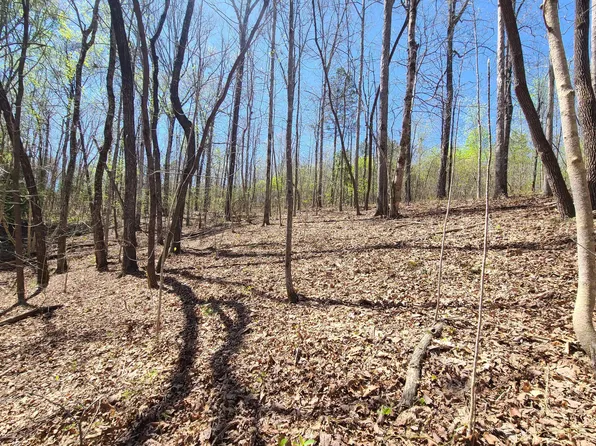 0 Hyche Rd, Double Springs, AL 35553