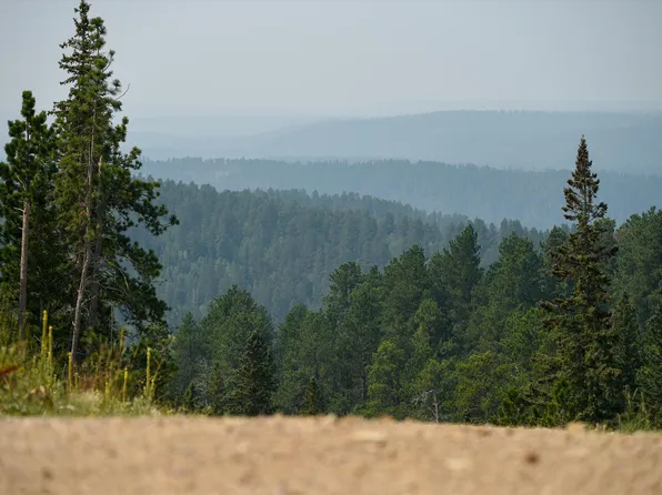 14 Gold Pan Trl, Lead, SD 57754