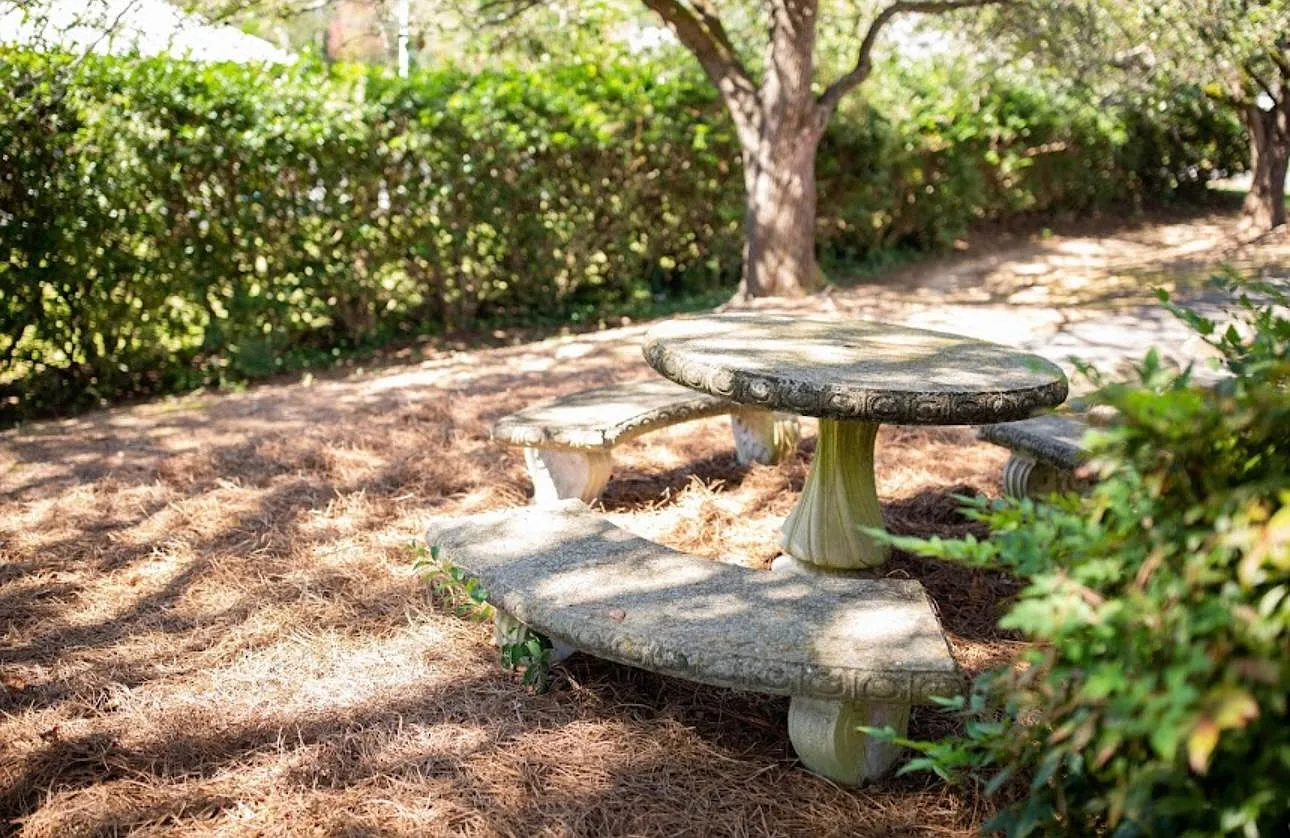 1 bed, $950 — Photo 3