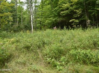 L34 Hall Rd, Johnsonville, NY 12094