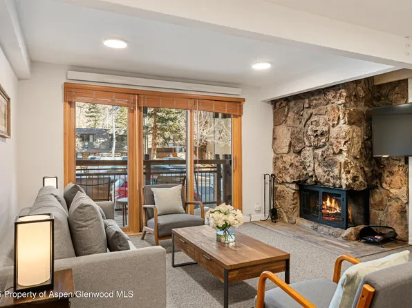 131 E Durant Ave #104, Aspen, CO 81611