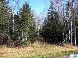 Xxx Gustafson Rd, Pt Wing, WI 54865