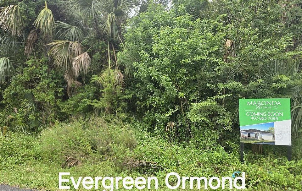 2nd image of Evergreen St