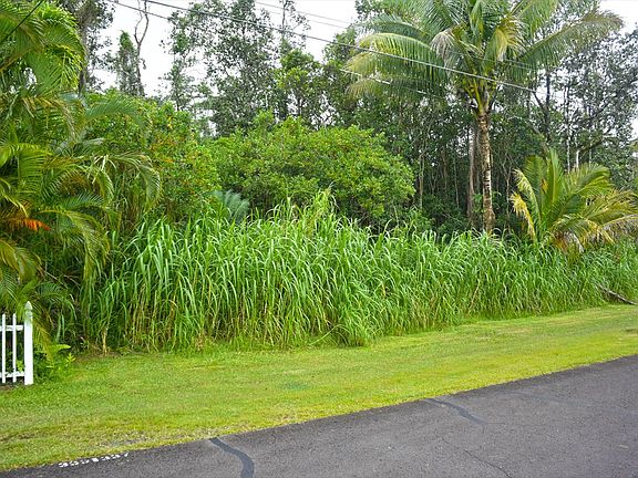 4th image of Honu St Lot 337