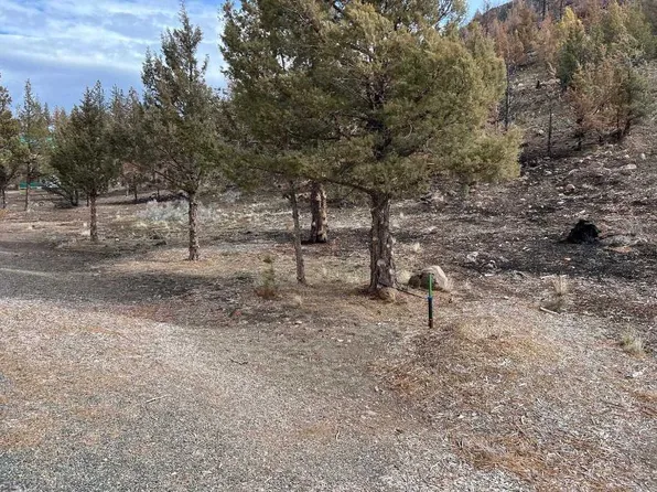 5-4 Mount Blanch Dr Lot 114, Weed, CA 96094