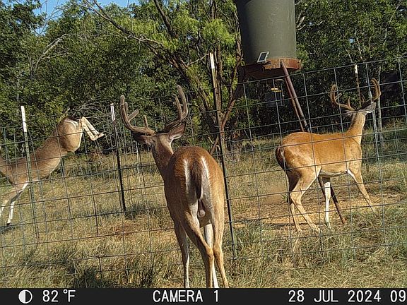 3rd image of Kramer Rd
