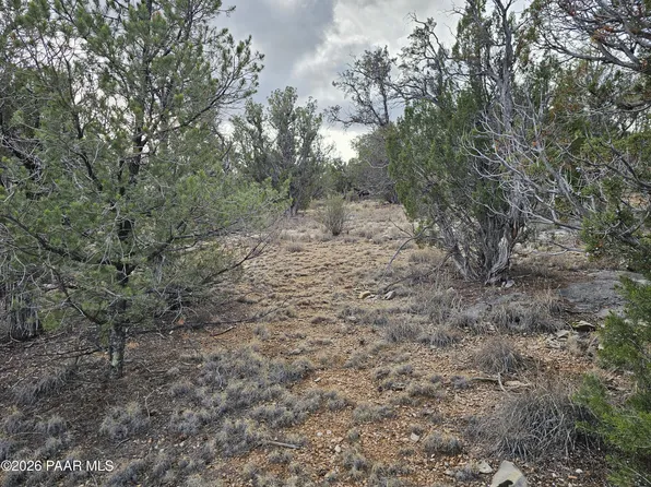 55644 N Potrero Pkwy, Seligman, AZ 86337