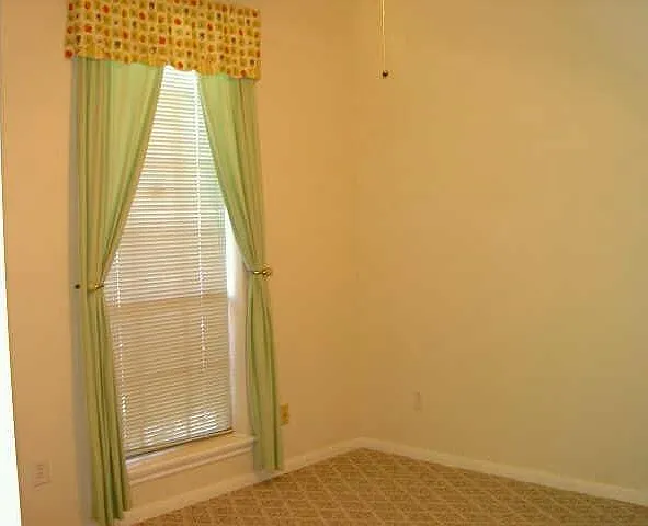 4542 Springfield Lakes St — Photo 15