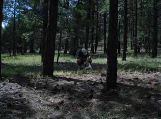 623 N Double A Ranch Rd, Williams, AZ 86046