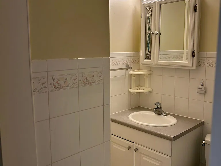 bath 1, walk in bathtub, toilet, sink