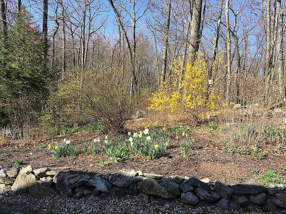 2nd image of 272 Tower Hill Rd