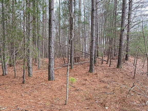5th image of 10 Payne Cove Dr