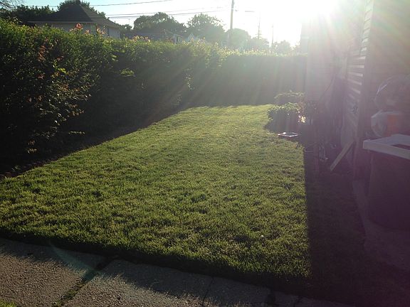 4th image of 77 Stewart Ave