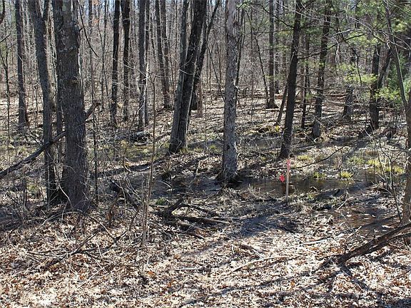 5th image of Lot 4 Resewood Avenue