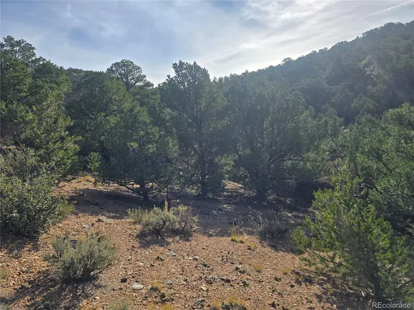 Lot 2184 Pagosa Road, Fort Garland, CO 81133