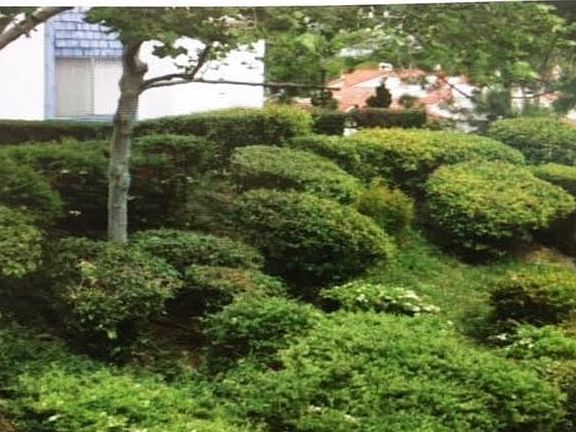 5th image of 901 Golden Springs Dr Unit C10