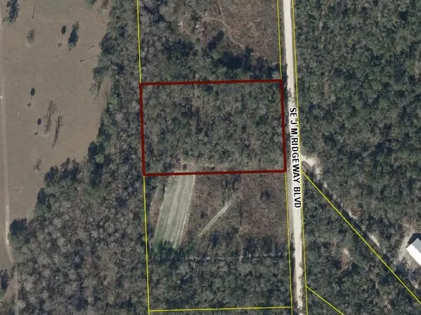 0 SE J M Ridgeway Blvd, Branford, FL 32008